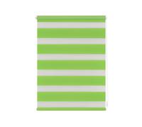 Lichtblick Store enrouleur, à partir de 45 x 150 cm (vert, 60 x 220 cm)