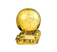 LICHUXIN Réplique du Trophée Ballon d'or De Football, Trophée Commémoratif De Football Football Français Meilleur Joueur Ballon d'or en Résine, Souvenirs De Fans De Sport Et Objets De Collection,20cm