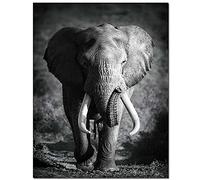 Licnay Diamond Painting Éléphant Noir Et Blanc Bricolage 5D Art Artisanat Kit Complet Point De Croix Plein Diamant Grande Taille Cadeau Mosaïque Décoration Strass Broderie,Foret Carré,30x40cm