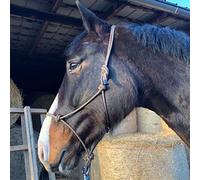 Licol à nœuds pour le travail au sol, cheval - Licol nœud Cob idéal pour le travail libre, le travail au sol, l'entraînement de conduite ou de chargement (sang chaud (Full), marron-beige)