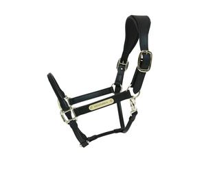 Licol anatomique cuir Kentucky Noir Cob