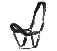 Licol anatomique en cuir avec bouclerie Equestro Noir Full