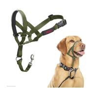 Licol anti-traction pour chien - Halti - Taille 3 - Vert Forêt - Muserolle rembourrée en néoprène