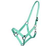 Licol avec Boucle Coulissante Turquoise - Mini-Shetty