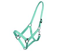 Licol avec glissière Q-essentials Turquoise Cob