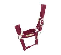 Licol COB - Bordeaux - Velours