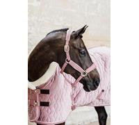 Licol COB - Vieux rose - Velours