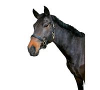 Licol cuir cob Kerbl eco Noir Cob
