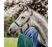 Licol cuir pour cheval Horseware Signature Marron Cheval