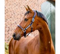 Licol cuir pour cheval Horseware Signature Marron Cob