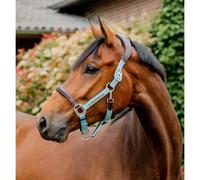 Licol cuir pour cheval Horseware Signature Marron Poney