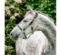 Licol cuir pour cheval Horseware Signature Marron Poney