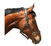 Licol cuir xfull Kerbl eco Marron XFull