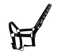 Licol d'âne de formation équestre pour licou réglable pour licol avec corde de licou pour passe-temps licou pour grand licou pour