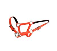 Licol de cheval doux pour la peau, boucle en acier inoxydable et cuir néoprène, équipement d'entraînement antidérapant de style selle anglaise (orange clair)