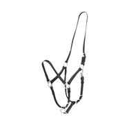 Licol de cheval en cuir PVC arc-en-ciel, licol de style de selle australienne froide, équipement d'équitation anglais et western(Black)
