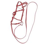 Licol de cheval et laisse - Licol réglable de qualité supérieure avec laisse robuste | Licol en nylon durable pour l'entraînement, la marche et une utilisation stable, confortable pour tous les