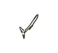 Licol de pansage pour cheval en cuir Kentucky Marron Full