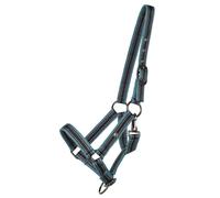 Licol de poulain collection pour cheval QHP Bleu Shetland