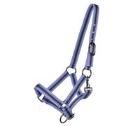 Licol de poulain collection pour cheval QHP Violet Falabella