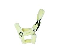 Licol De Transport Mouton Kentucky