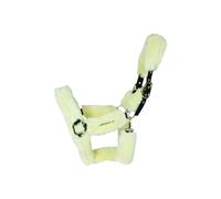 Licol de transport mouton Kentucky Blanc Full