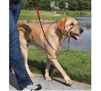Licol - Easy Walk - Rouge - Taille L - Confortable - Réduit les tractions - Pour chien