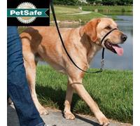 Licol Easywalk Chien L Noir De 27 À 59 Kg
