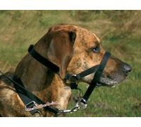 Licol Éducation L 40 Cm