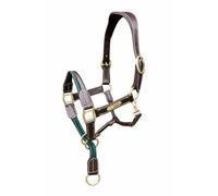 Licol en cuir pour cheval avec raccords en laiton - Accessoire anatomique | Design anatomique, raccords en laiton, construction en cuir, licol de contrôle, utilisation équestre