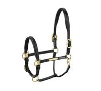 Licol en cuir pour cheval Eskadron Elegance Noir Full