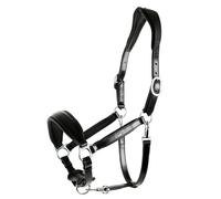 Licol en cuir pour cheval Schockemöehle Fremont Noir Cob
