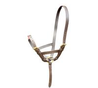 Licol en cuir pour poulain avec raccord en laiton massif Noir/marron Taille M