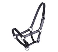 Licol en cuir QHP Chico pour poulain