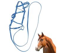 Licol en cuir synthétique pour cheval et cordes de guidage, ergonomique, confortable, sans restriction avec boucle en métal pour écurie, compétition, accessoire d'équitation 2023, entraînement
