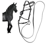 Licol en cuir synthétique pour cheval et cordes de guidage, ergonomique, confortable, sans restriction avec boucle en métal pour écurie, compétition, accessoire d'équitation 2023, entraînement