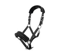Licol en nylon avec rembourrage polaire 9100 Noir