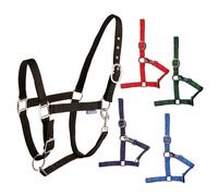 Licol en nylon double réglage Tattini Bleu Full