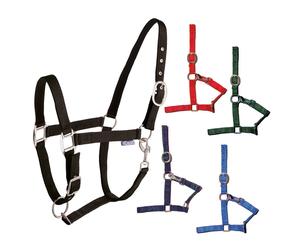 Licol en nylon double réglage Tattini Rouge Poney
