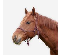 Licol équitation éthologique cheval - bordeaux