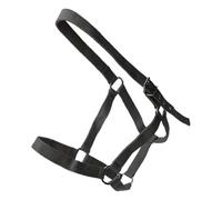 Licol Et Longe Pour Cheval Accessoires De Spectacle Équestre Réglables Pour