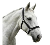 Licol Et Longe Pour Cheval Harnais Équestre Réglable pour la Pratique de