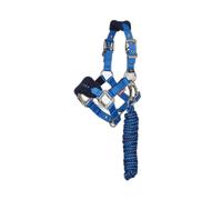 Licol et longe pour cheval LeMieux Mini Vogue Bleu Mini