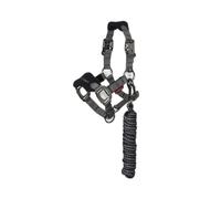 Licol et longe pour cheval LeMieux Mini Vogue Noir Mini