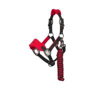 Licol et longe pour cheval LeMieux Mini Vogue Orange Mini
