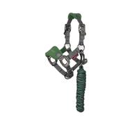 Licol et longe pour cheval LeMieux Mini Vogue Vert Mini