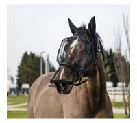 Licol et masque anti-mouches anti UV pour cheval Equithème Noir Pur-sang