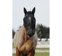 Licol et masque anti-mouches pour cheval Equithème Noir Cheval