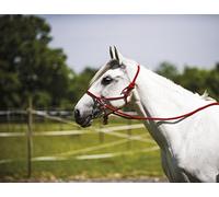 Licol éthologique pour cheval avec rênes Norton Rouge Cheval