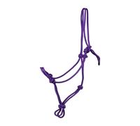 Licol éthologique de compétition pour cheval HORKA Basic Violet Poney